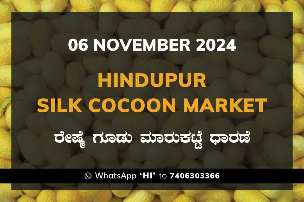 Hindupur Government Silk Cocoon Market Daily Rate Report ಹಿಂದೂಪುರ ರೇಷ್ಮೆ ಗೂಡು ಮಾರುಕಟ್ಟೆ ಧಾರಣೆ