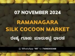 Ramanagara Silk Cocoon Market ರಾಮನಗರ ರೇಷ್ಮೆ ಗೂಡು ಮಾರುಕಟ್ಟೆ ಧಾರಣೆ