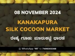 Kanakapura Silk Cocoon Market ಕನಕಪುರ ರೇಷ್ಮೆ ಗೂಡು ಮಾರುಕಟ್ಟೆ ಧಾರಣೆ