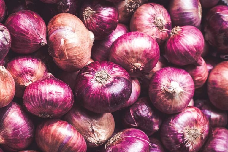 Karnataka Onion price hike