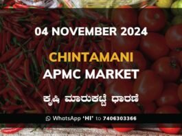 Chintamani APMC Agriculture Market Daily Price Rate List ಚಿಂತಾಮಣಿ ಕೃಷಿ ಮಾರುಕಟ್ಟೆ ಧಾರಣೆ