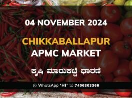 Chikkaballapur APMC Agriculture Market Daily Price Report ಚಿಕ್ಕಬಳ್ಳಾಪುರ ಕೃಷಿ ಮಾರುಕಟ್ಟೆ ಧಾರಣೆ