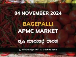 Bagepalli APMC Agriculture Market Daily Price Report ಬಾಗೇಪಲ್ಲಿ ಕೃಷಿ ಮಾರುಕಟ್ಟೆ ಧಾರಣೆ