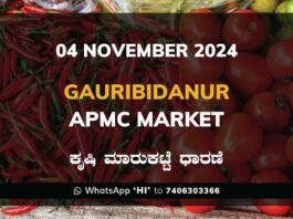 Gauribidanur APMC Agriculture Market Daily Price Report ಗೌರಿಬಿದನೂರು ಕೃಷಿ ಮಾರುಕಟ್ಟೆ ಧಾರಣೆ