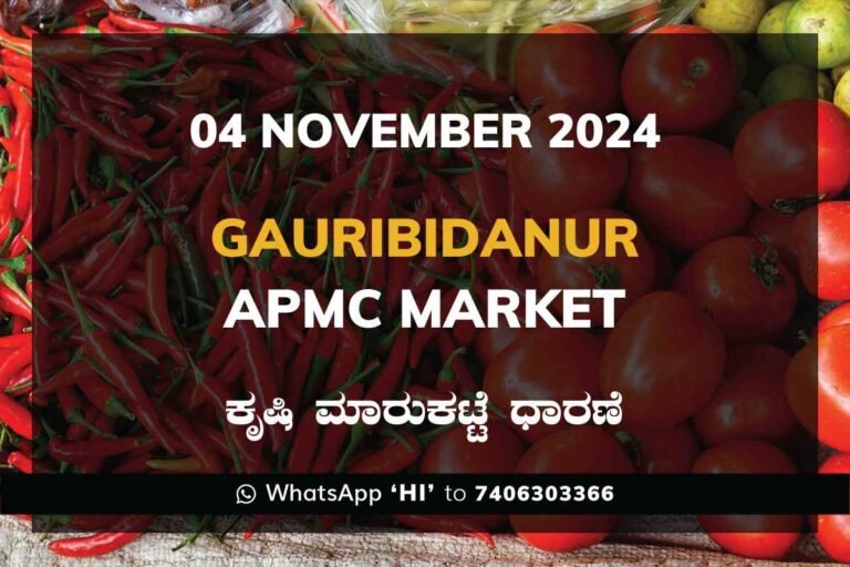 Gauribidanur APMC Agriculture Market Daily Price Report ಗೌರಿಬಿದನೂರು ಕೃಷಿ ಮಾರುಕಟ್ಟೆ ಧಾರಣೆ
