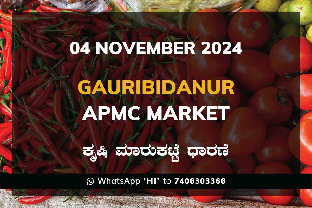 Gauribidanur APMC Agriculture Market Daily Price Report ಗೌರಿಬಿದನೂರು ಕೃಷಿ ಮಾರುಕಟ್ಟೆ ಧಾರಣೆ