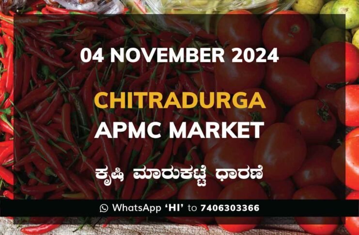 Chitradurga APMC Agriculture Market Daily Price Report ಚಿತ್ರದುರ್ಗ ಕೃಷಿ ಮಾರುಕಟ್ಟೆ ಧಾರಣೆ