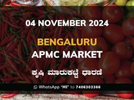 Bengaluru APMC Agriculture Market Daily Price Report ಬೆಂಗಳೂರು ಕೃಷಿ ಮಾರುಕಟ್ಟೆ ಧಾರಣೆ