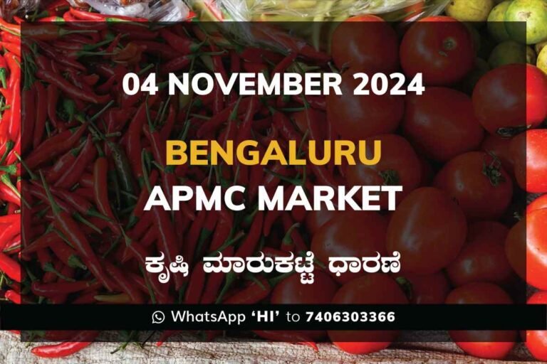 Bengaluru APMC Agriculture Market Daily Price Report ಬೆಂಗಳೂರು ಕೃಷಿ ಮಾರುಕಟ್ಟೆ ಧಾರಣೆ