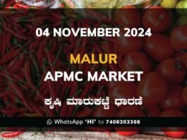 Malur APMC Agriculture Market Daily Price Report ಮಾಲೂರು ಕೃಷಿ ಮಾರುಕಟ್ಟೆ ಧಾರಣೆ