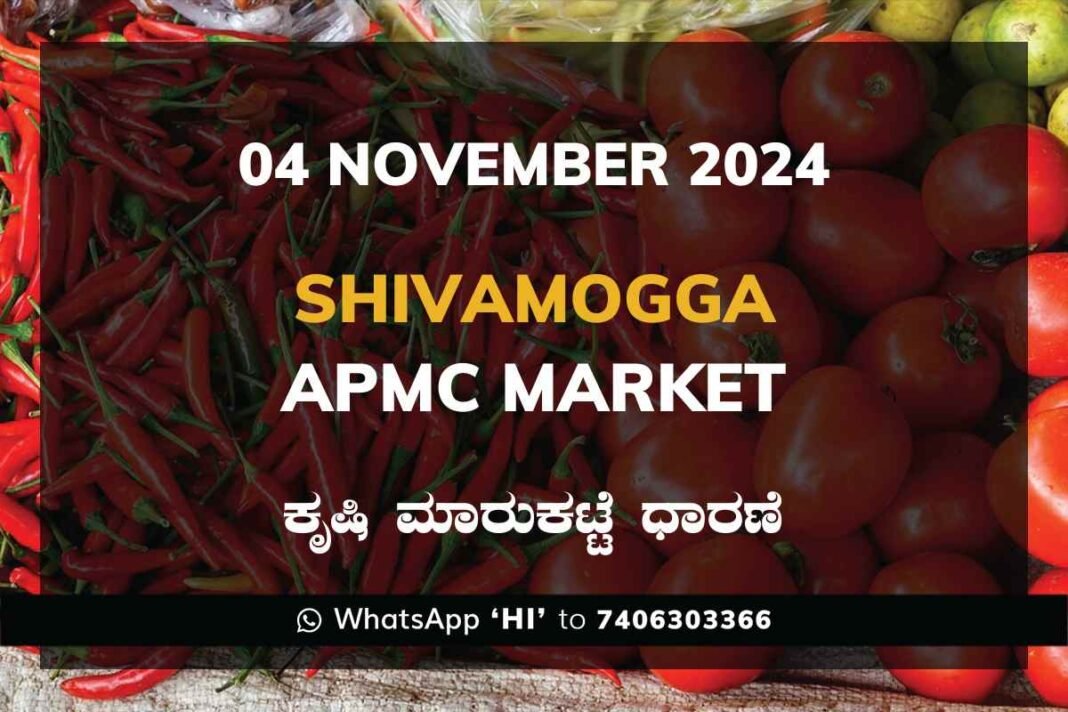 Shivamogga APMC Agriculture Market Daily Price Report ಶಿವಮೊಗ್ಗ ಕೃಷಿ ಮಾರುಕಟ್ಟೆ ಧಾರಣೆ