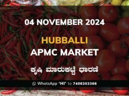 Hubballi APMC Agriculture Market Daily Price Report ಹುಬ್ಬಳ್ಳಿ ಕೃಷಿ ಮಾರುಕಟ್ಟೆ ಧಾರಣೆ