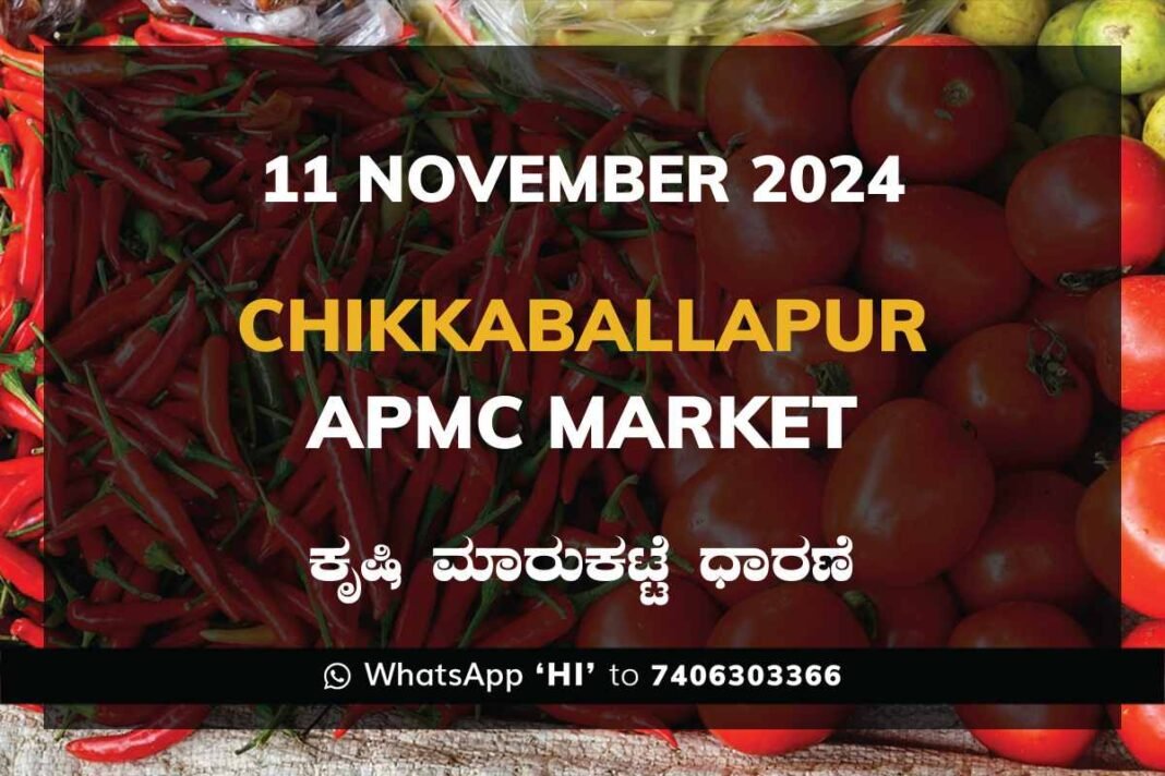 Chikkaballapur APMC Agriculture Market Daily Price Report ಚಿಕ್ಕಬಳ್ಳಾಪುರ ಕೃಷಿ ಮಾರುಕಟ್ಟೆ ಧಾರಣೆ