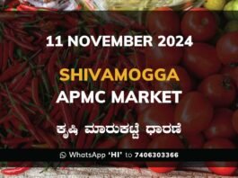 Shivamogga APMC Agriculture Market Daily Price Report ಶಿವಮೊಗ್ಗ ಕೃಷಿ ಮಾರುಕಟ್ಟೆ ಧಾರಣೆ