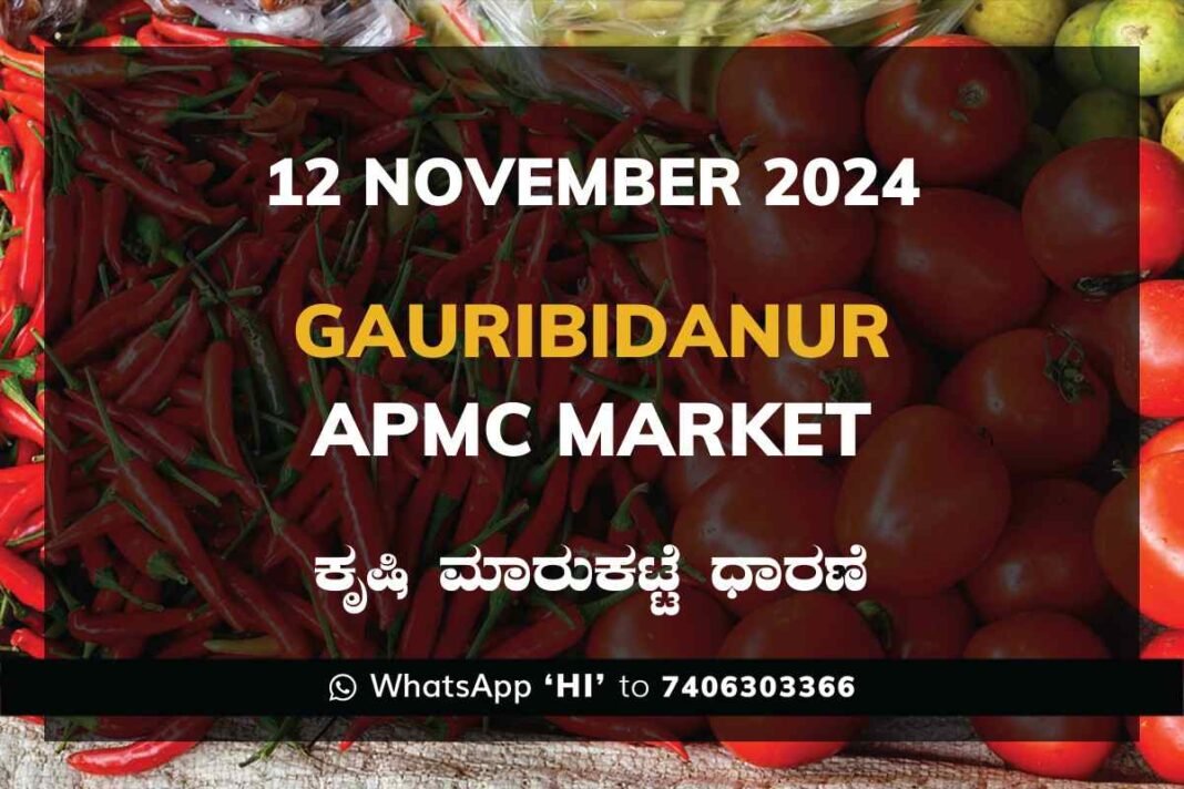 Gauribidanur APMC Agriculture Market Daily Price Report ಗೌರಿಬಿದನೂರು ಕೃಷಿ ಮಾರುಕಟ್ಟೆ ಧಾರಣೆ