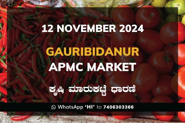 Gauribidanur APMC Agriculture Market Daily Price Report ಗೌರಿಬಿದನೂರು ಕೃಷಿ ಮಾರುಕಟ್ಟೆ ಧಾರಣೆ
