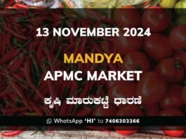 Mandya APMC Agriculture Market Daily Price Rate List ಮಂಡ್ಯ ಕೃಷಿ ಮಾರುಕಟ್ಟೆ ಧಾರಣೆ