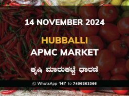 Hubballi APMC Agriculture Market Daily Price Report ಹುಬ್ಬಳ್ಳಿ ಕೃಷಿ ಮಾರುಕಟ್ಟೆ ಧಾರಣೆ