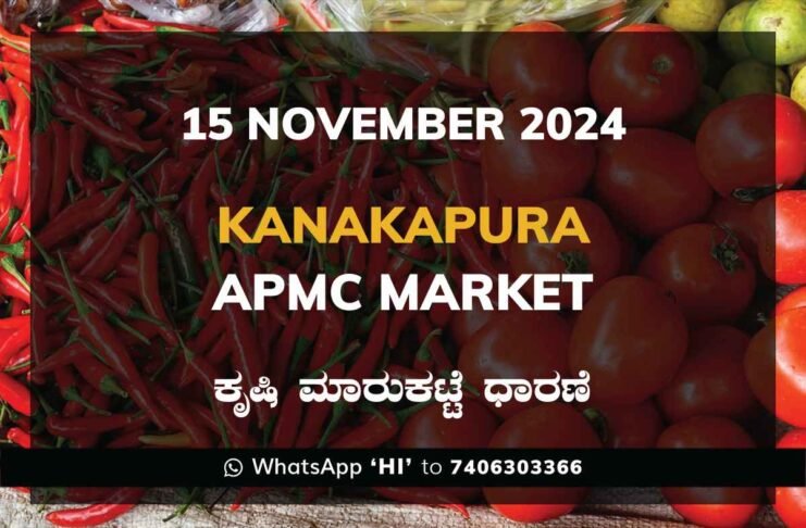 Kanakapura APMC Agriculture Market Daily Price Report ಕನಕಪುರ ಕೃಷಿ ಮಾರುಕಟ್ಟೆ ಧಾರಣೆ