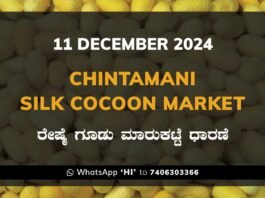 Chintamani Silk Cocoon Market ಚಿಂತಾಮಣಿ ರೇಷ್ಮೆ ಗೂಡು ಮಾರುಕಟ್ಟೆ ಧಾರಣೆ