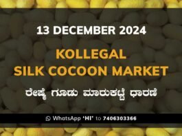 Kollegal Silk Cocoon Market Price Rate ಕೊಳ್ಳೇಗಾಲ ರೇಷ್ಮೆ ಗೂಡು ಮಾರುಕಟ್ಟೆ ಧಾರಣೆ