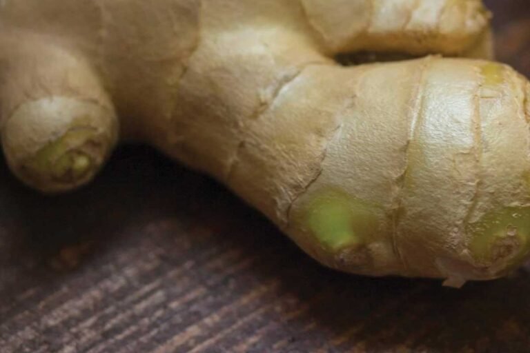 Ginger