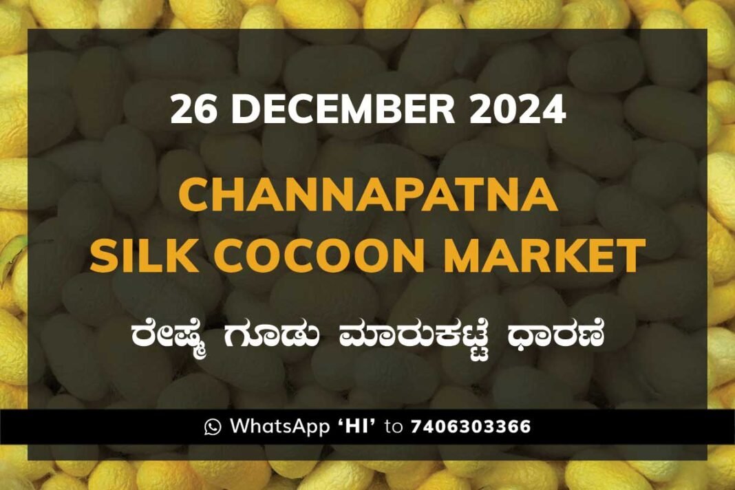 Channapatna Silk Cocoon Market Price Rate ಚನ್ನಪಟ್ಟಣ ರೇಷ್ಮೆ ಗೂಡು ಮಾರುಕಟ್ಟೆ ಧಾರಣೆ