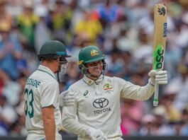 India Australia Cricket Test Match