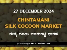 Chintamani Silk Cocoon Market ಚಿಂತಾಮಣಿ ರೇಷ್ಮೆ ಗೂಡು ಮಾರುಕಟ್ಟೆ ಧಾರಣೆ