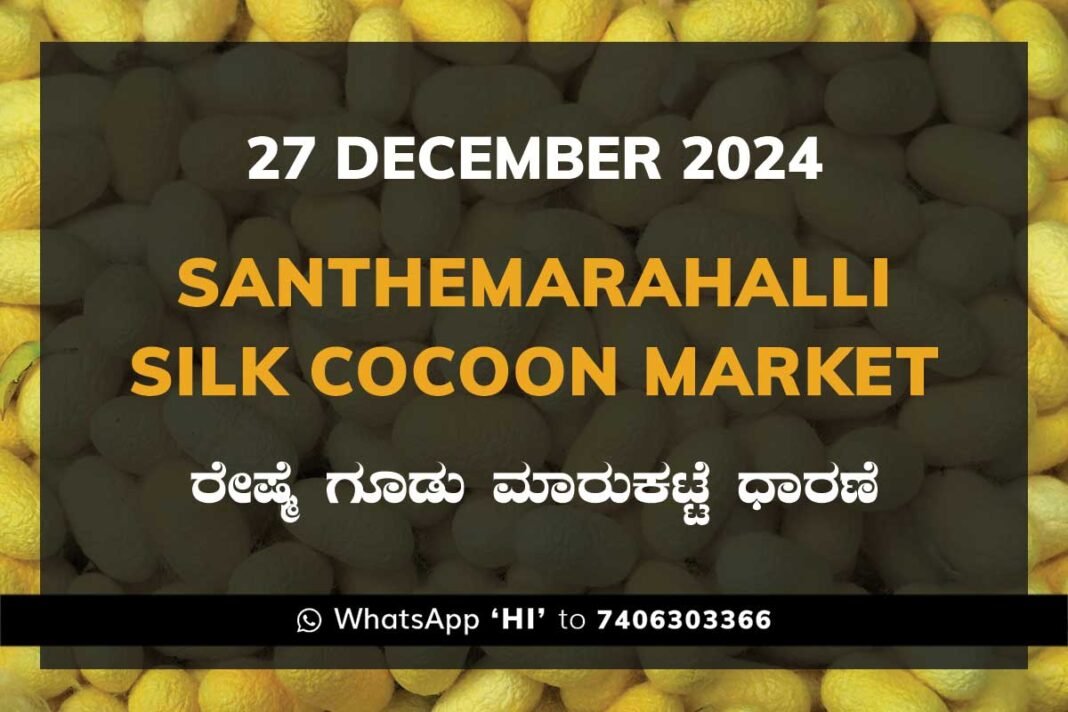 Silk Santhemarahalli Santemarahalli Government Cocoon Market ಸಂತೇಮರಹಳ್ಳಿ ರೇಷ್ಮೆ ಗೂಡು ಮಾರುಕಟ್ಟೆ ಧಾರಣೆ