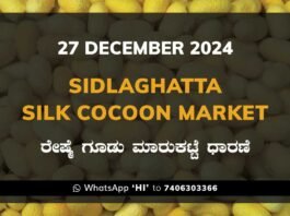 Sidlaghatta Silk Cocoon Market Price Rate ಶಿಡ್ಲಘಟ್ಟ ರೇಷ್ಮೆ ಗೂಡು ಮಾರುಕಟ್ಟೆ ಧಾರಣೆ