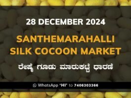 Silk Santhemarahalli Santemarahalli Government Cocoon Market ಸಂತೇಮರಹಳ್ಳಿ ರೇಷ್ಮೆ ಗೂಡು ಮಾರುಕಟ್ಟೆ ಧಾರಣೆ