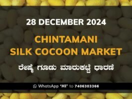 Chintamani Silk Cocoon Market ಚಿಂತಾಮಣಿ ರೇಷ್ಮೆ ಗೂಡು ಮಾರುಕಟ್ಟೆ ಧಾರಣೆ