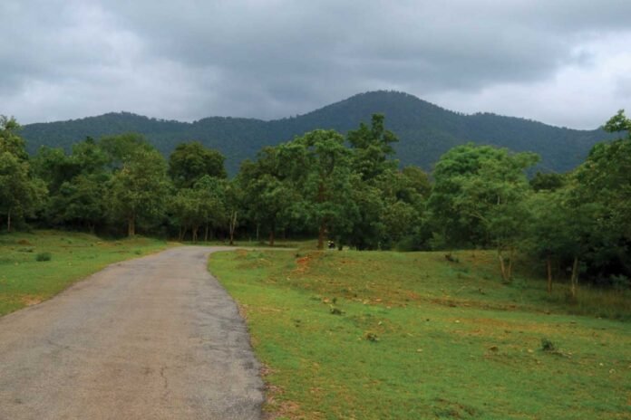 Biligiriranga Hills Biligiriranga Hills