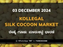 Kollegal Silk Cocoon Market Price Rate ಕೊಳ್ಳೇಗಾಲ ರೇಷ್ಮೆ ಗೂಡು ಮಾರುಕಟ್ಟೆ ಧಾರಣೆ