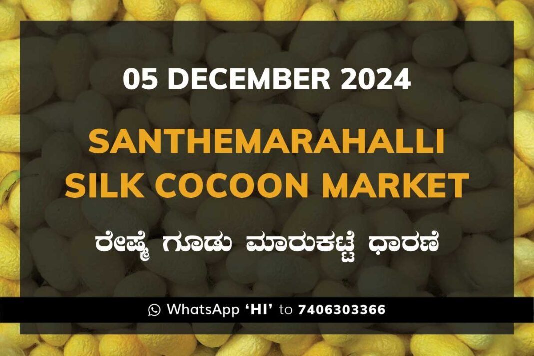 Silk Santhemarahalli Santemarahalli Government Cocoon Market ಸಂತೇಮರಹಳ್ಳಿ ರೇಷ್ಮೆ ಗೂಡು ಮಾರುಕಟ್ಟೆ ಧಾರಣೆ