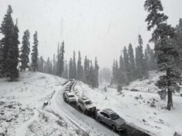 Jammu Kashmir Snowfall