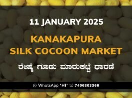 Kanakapura Silk Cocoon Market ಕನಕಪುರ ರೇಷ್ಮೆ ಗೂಡು ಮಾರುಕಟ್ಟೆ ಧಾರಣೆ