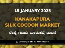 Kanakapura Silk Cocoon Market ಕನಕಪುರ ರೇಷ್ಮೆ ಗೂಡು ಮಾರುಕಟ್ಟೆ ಧಾರಣೆ