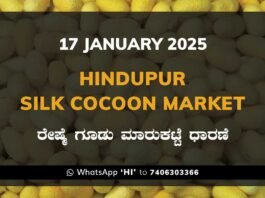 Hindupur Government Silk Cocoon Market Daily Rate Report ಹಿಂದೂಪುರ ರೇಷ್ಮೆ ಗೂಡು ಮಾರುಕಟ್ಟೆ ಧಾರಣೆ