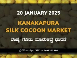 Kanakapura Silk Cocoon Market ಕನಕಪುರ ರೇಷ್ಮೆ ಗೂಡು ಮಾರುಕಟ್ಟೆ ಧಾರಣೆ