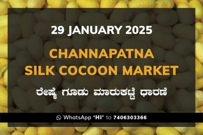 29JanKa Channapatna Silk Cocoon Market Price Rate ಚನ್ನಪಟ್ಟಣ ರೇಷ್ಮೆ ಗೂಡು ಮಾರುಕಟ್ಟೆ ಧಾರಣೆ