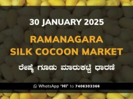 Ramanagara Silk Cocoon Market ರಾಮನಗರ ರೇಷ್ಮೆ ಗೂಡು ಮಾರುಕಟ್ಟೆ ಧಾರಣೆ