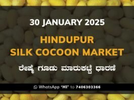 Hindupur Government Silk Cocoon Market Daily Rate Report ಹಿಂದೂಪುರ ರೇಷ್ಮೆ ಗೂಡು ಮಾರುಕಟ್ಟೆ ಧಾರಣೆ