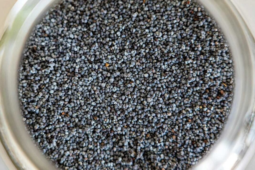 Poppy seeds