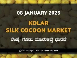 Kolar Silk Cocoon Market Price Rate ಕೋಲಾರ ರೇಷ್ಮೆ ಗೂಡು ಮಾರುಕಟ್ಟೆ ಧಾರಣೆ