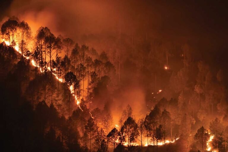 Los Angeles Wildfire
