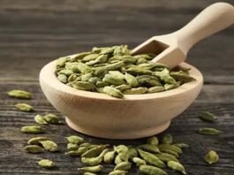 Cardamom