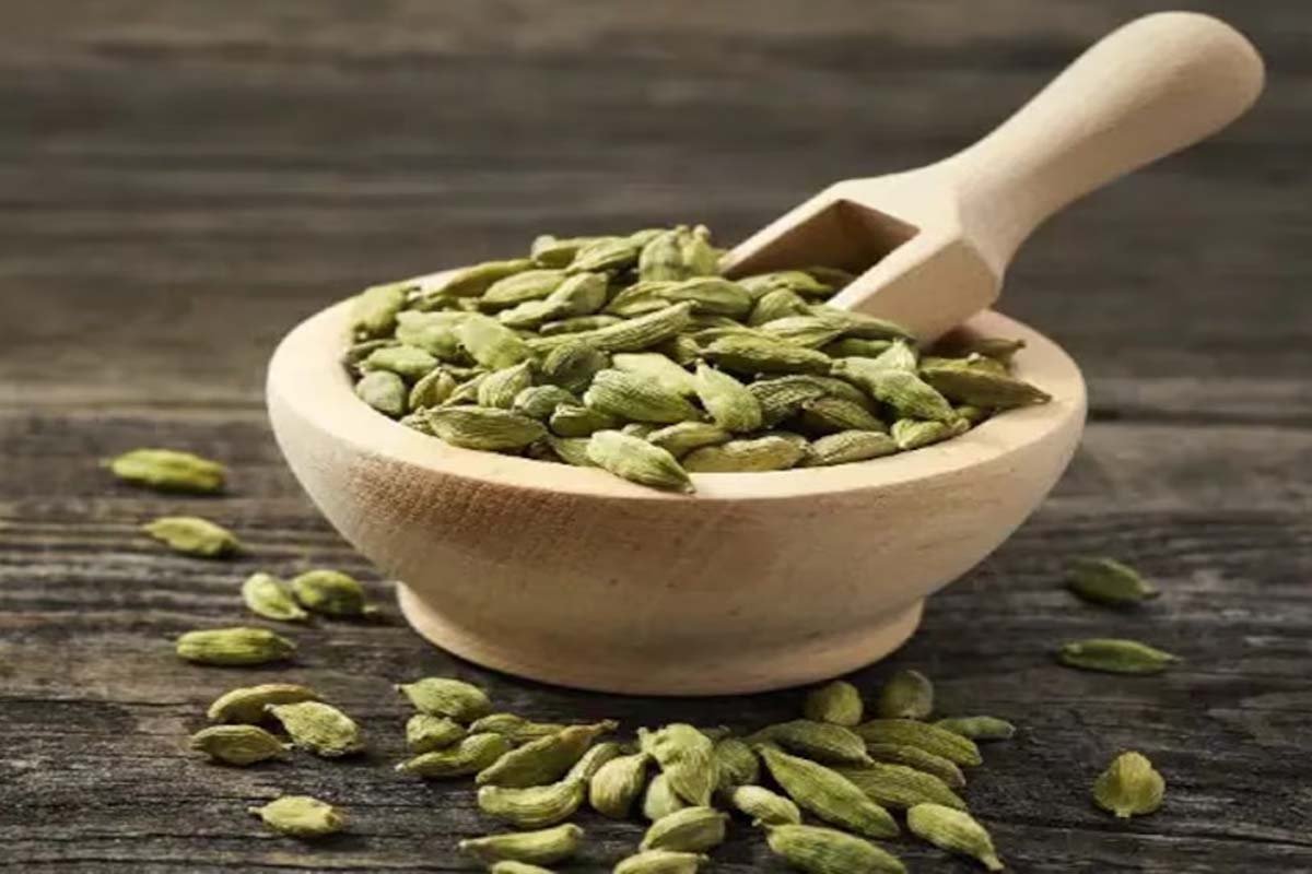 Cardamom Cardamom