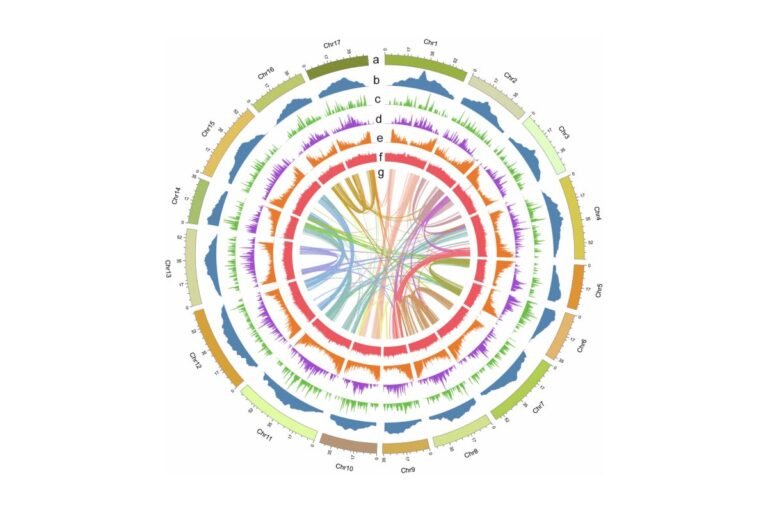Genome Database